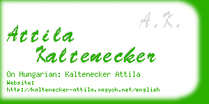 attila kaltenecker business card